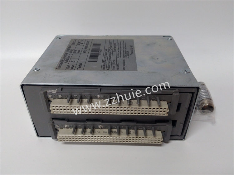  ICS TRIPLEX T8160C module 