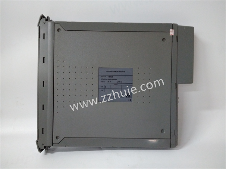 ICS Triplex T3484 module 